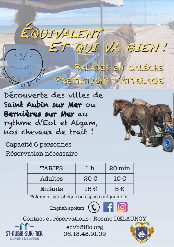 Balade touristique en calèche