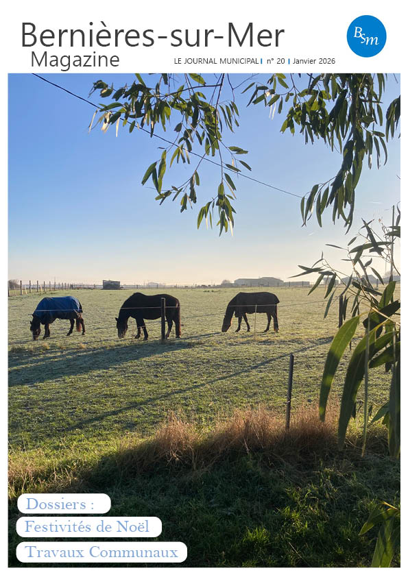 Brochure n° 20 janvier 2026